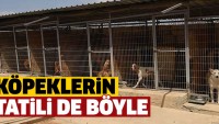 Gündem Kıbrıs – Gözünüz arkada kalmaz