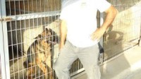 Yeni Düzen Gazetesi – İrma Köpek Çiftliği-Serhatköy