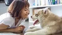 Köpeğin İnsan Yaşamındaki Tarihi