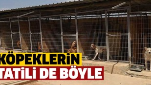 Gündem Kıbrıs – Gözünüz arkada kalmaz