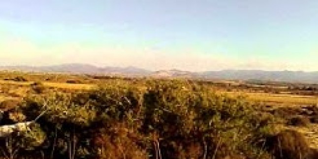 Liza’nın tavşana verması